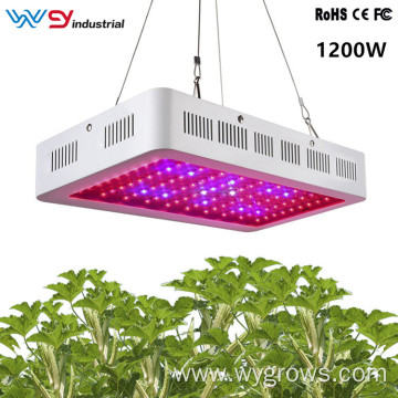 1200W LED Grow Lights For Indoor Plants